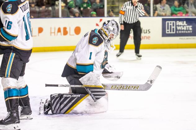 Tahoe Knight Monsters goaltender Jesper Vikman
