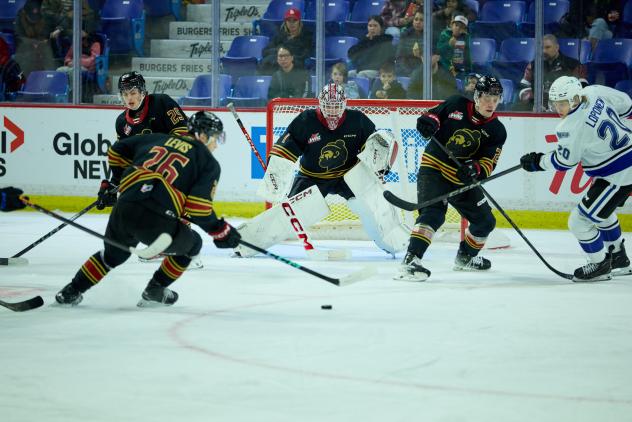 Vancouver Giants goaltender Matthew Hutchison