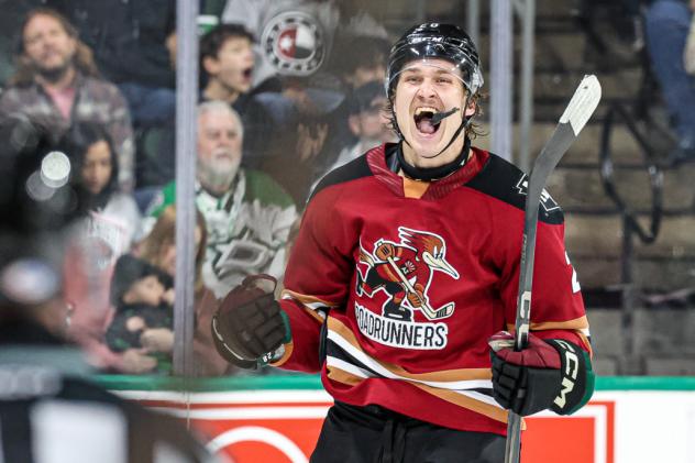 Tucson Roadrunners react after a goal