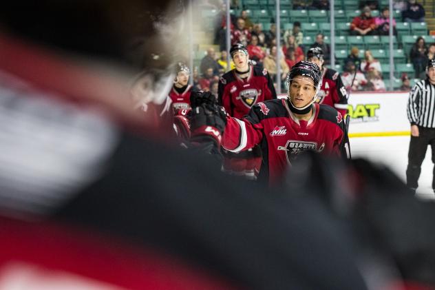 Vancouver Giants head off the ice