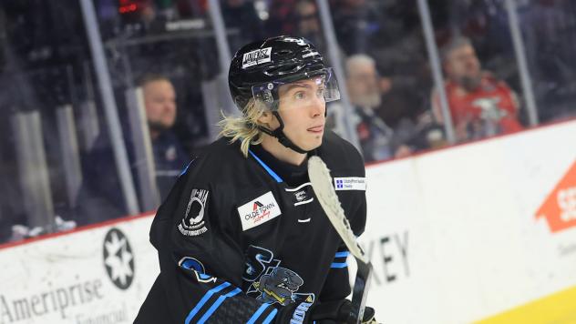 Forward Savva Smirnov with the Quad City Storm