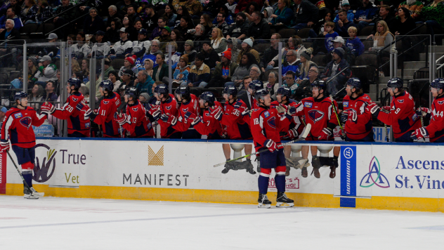 South Carolina Stingrays exchange congratulations along the bench