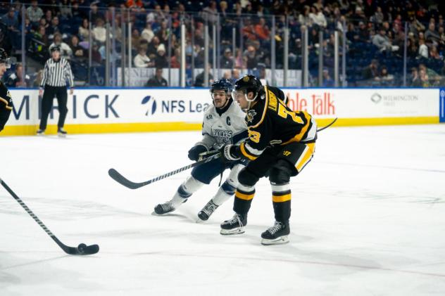 Worcester Railers vs. the Wheeling Nailers
