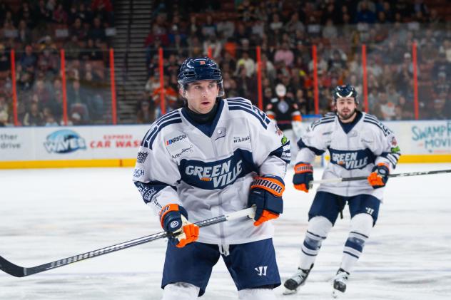 Greenville Swamp Rabbits on game night