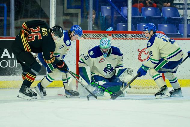 Vancouver Giants right wing Connor Levis takes a shot against the Swift Current Broncos