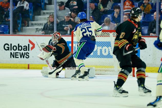 Vancouver Giants goaltender Burke Hood against the Swift Current Broncos