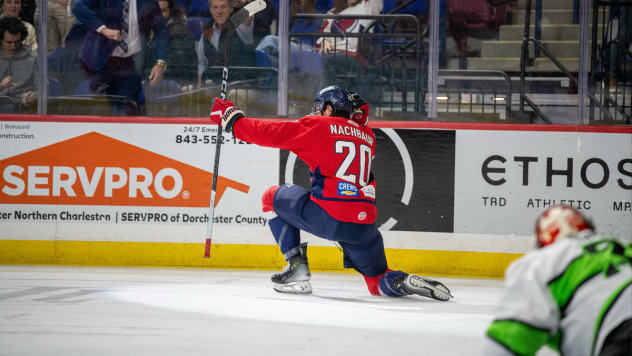 South Carolina Stingrays forward Justin Nachbaur