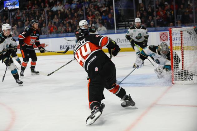 Kansas City Monarchs' Max Andreev on game night