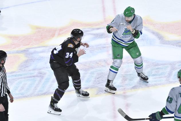 Florida Everblades face off with the Orlando Solar Bears