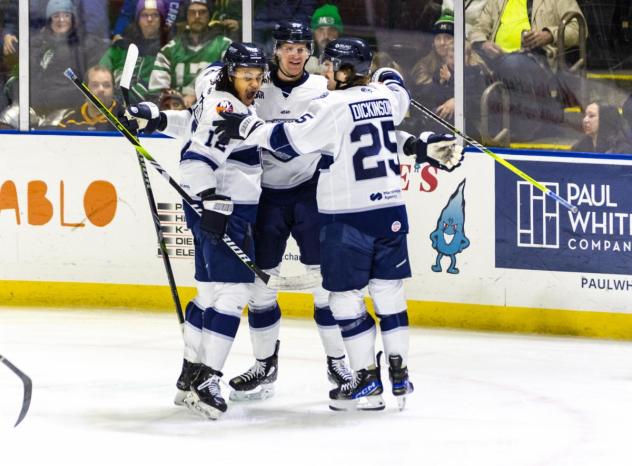 Worcester Railers celebrate a goal against the Maine Mariners