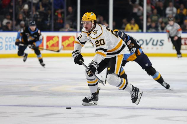 Wheeling Nailers forward James Hardie