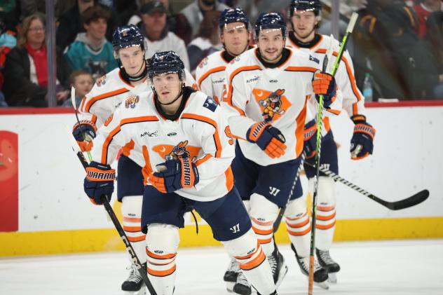 Greenville Swamp Rabbits hit the ice