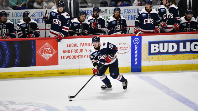 South Carolina Stingrays defenseman Andrew Perrott