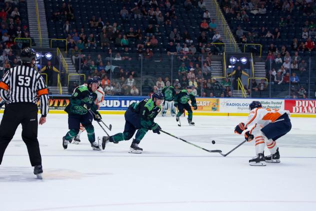 Florida Everblades battle the Greenville Swamp Rabbits