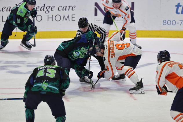 Greenville Swamp Rabbits battle the Florida Everblades