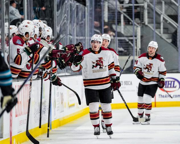 Tucson Roadrunners exchange high fives along the bench