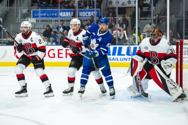 Belleville Senators goaltender Malcolm Subban vs. the Toronto Marlies