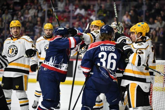 Wheeling Nailers battle the South Carolina Stingrays