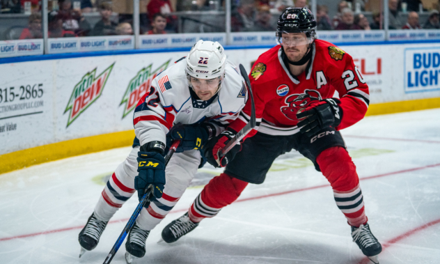 Springfield Thunderbirds' Dylan Peterson vesus Rockford IceHogs' Cavan Fitzgerald