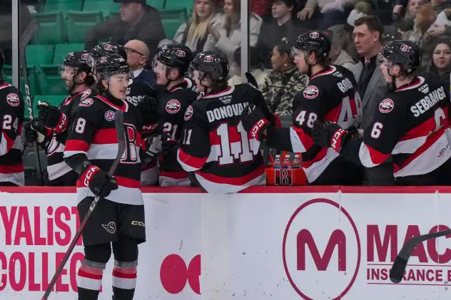 Belleville Senators talk along the bench