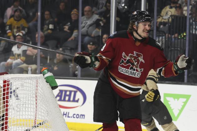 Tucson Roadrunners center Curtis Douglas