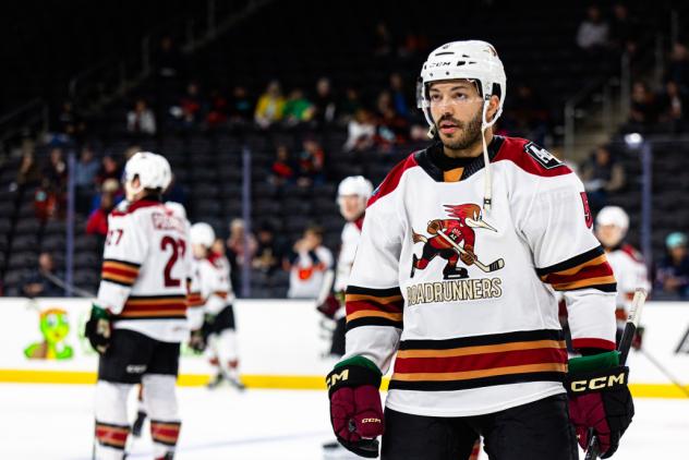 Tucson Roadrunners on the ice