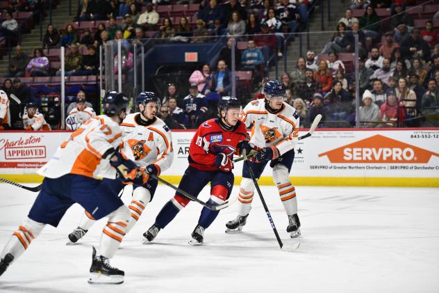 Greenville Swamp Rabbits and the South Carolina Stingrays on game night