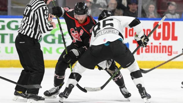 Wichita Thunder face off with the Idaho Steelheads