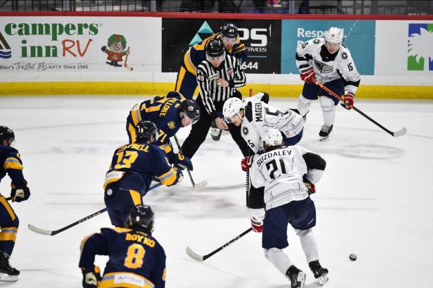 South Carolina Stingrays battle the Atlanta Gladiators