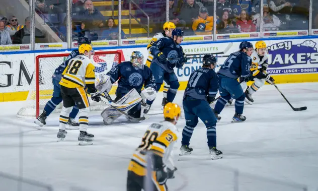 Springfield Thunderbirds battle the Wilkes-Barre/Scranton Penguins