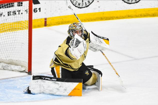 Wheeling Nailers in action