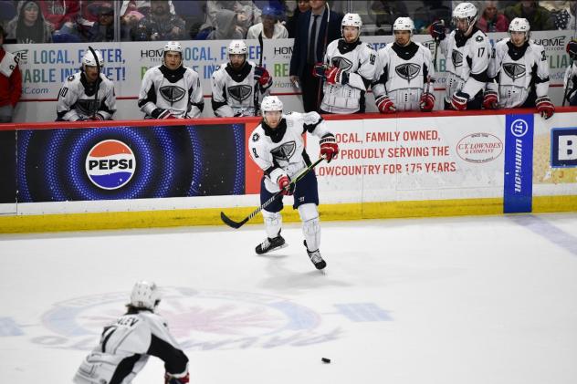 South Carolina Stingrays in action
