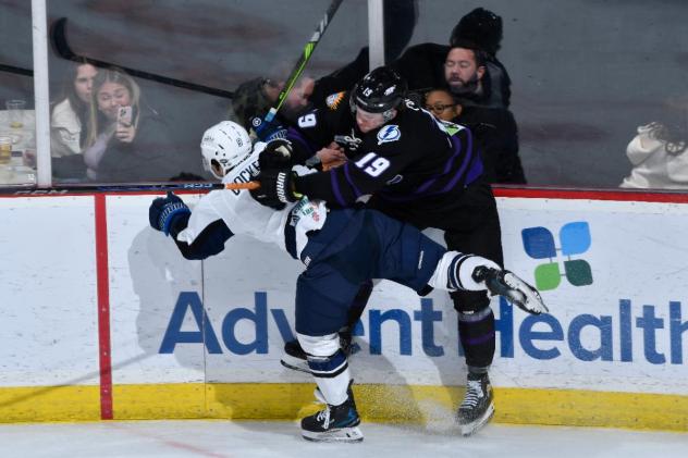 Orlando Solar Bears in a scrap