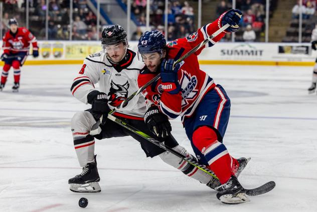 Adirondack Thunder battle the Kalamazoo Wings