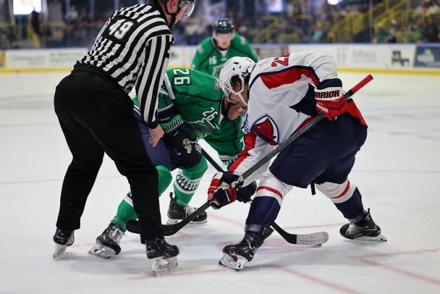 Florida Everblades face off with the South Carolina Stingrays