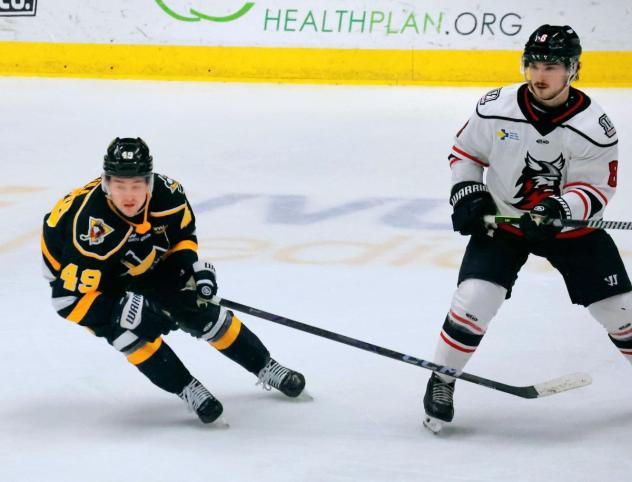 Wheeling Nailers' Logan Pietila and Adirondack Thunder's Ryan Conroy in action