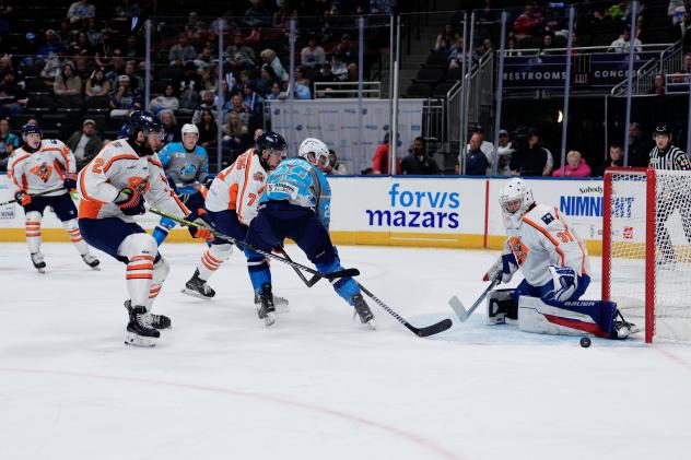 Greenville Swamp Rabbits battle the Jacksonville Icemen