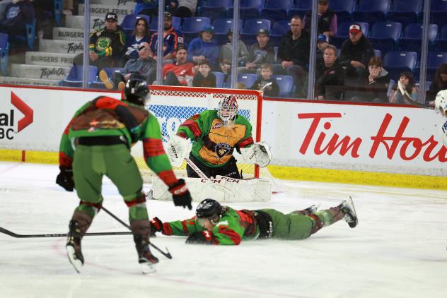 Vancouver Giants goaltender Burke Hood watches over his defense