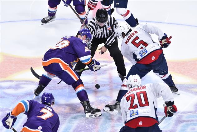 South Carolina Stingrays face off with the Orlando Solar Bears