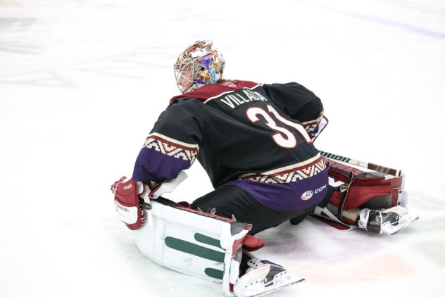 Tucson Roadrunners goaltender Matthew Villalta