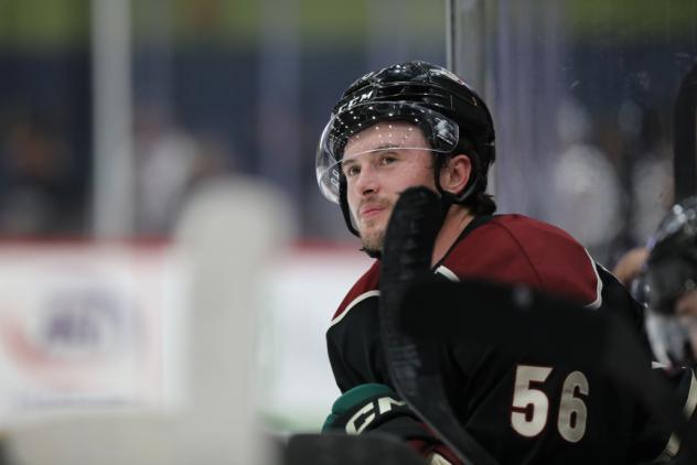 Tucson Roadrunners forward Kailer Yamamoto
