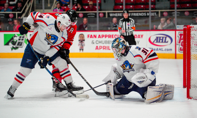 Springfield Thunderbirds goaltender Colten Ellis