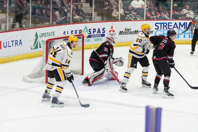 Wheeling Nailers' David Jankowski and Matt Quercia versus Adirondack Thunder's Jeremy Brodeur and Brendan Less