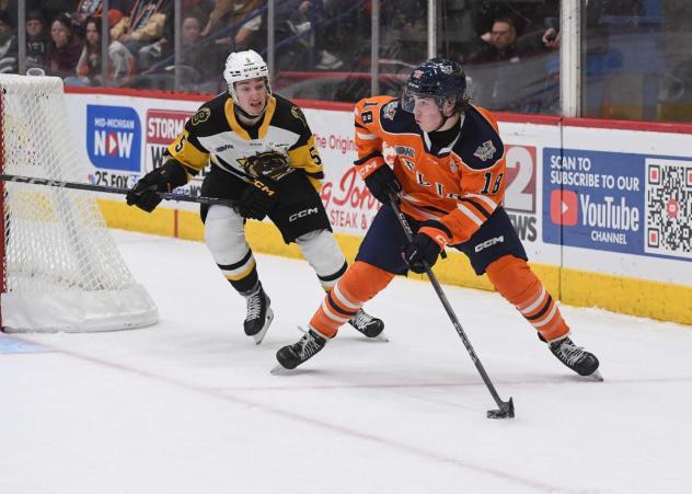 Brantford Bulldogs' Adam Jiříček versus Flint Firebirds' Hayden Reid