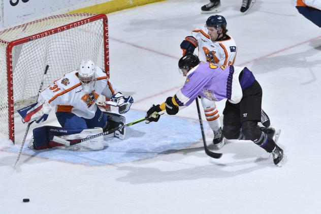 Greenville Swamp Rabbits' Kolby Hay versus Orlando Solar Bears' Mark Auk