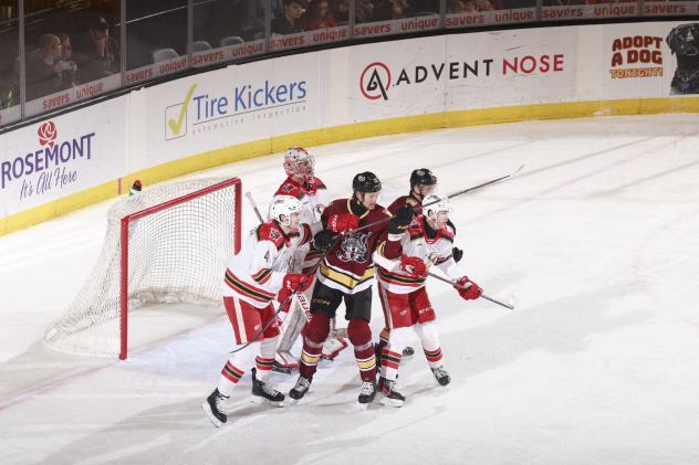 Grand Rapids Griffins battle the Chicago Wolves