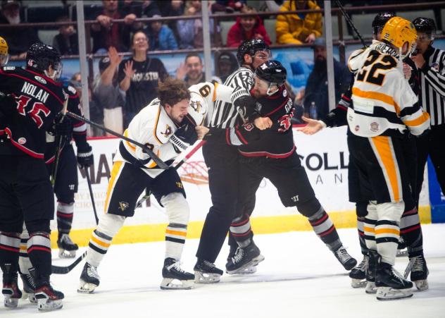 Wheeling Nailers fight with the Adirondack Thunder