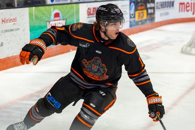 Forward Michael Gildon with the Fort Wayne Komets