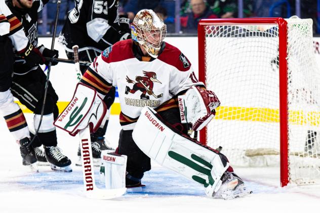 Tucson Roadrunners goaltender Matthew Villalta
