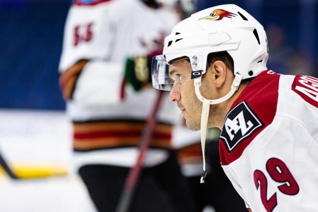 Tucson Roadrunners center Andrew Agozzino